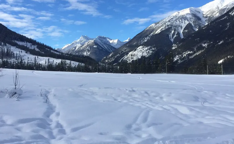 Carolyn Evrall - Panorama