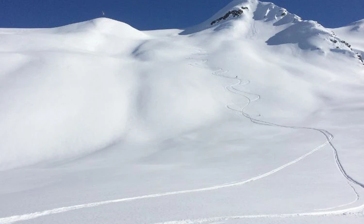 Dave Williams - Alaska