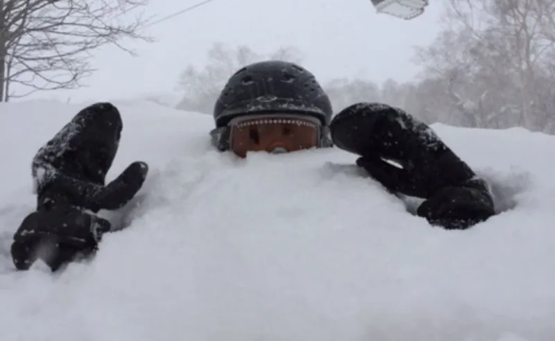 David Lewis - Niseko