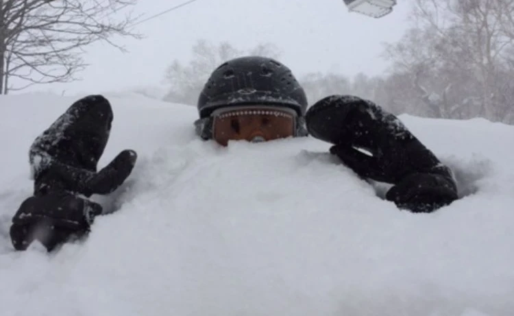 David Lewis - Niseko