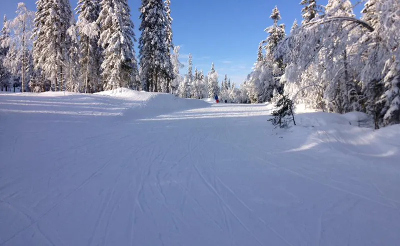 Janice Pringle - Trysil