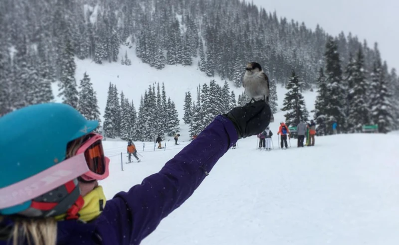 Karen Ripley - Whistler