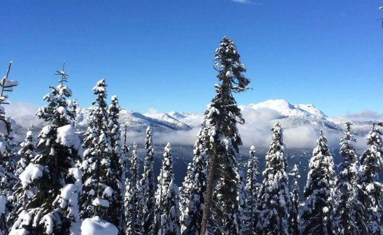 Sandra Jennings - Whistler