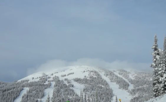 Tom Henwood - Sun Peaks