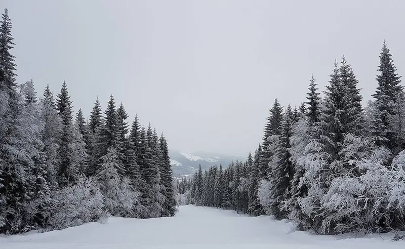 Tracey Austin - Trysil