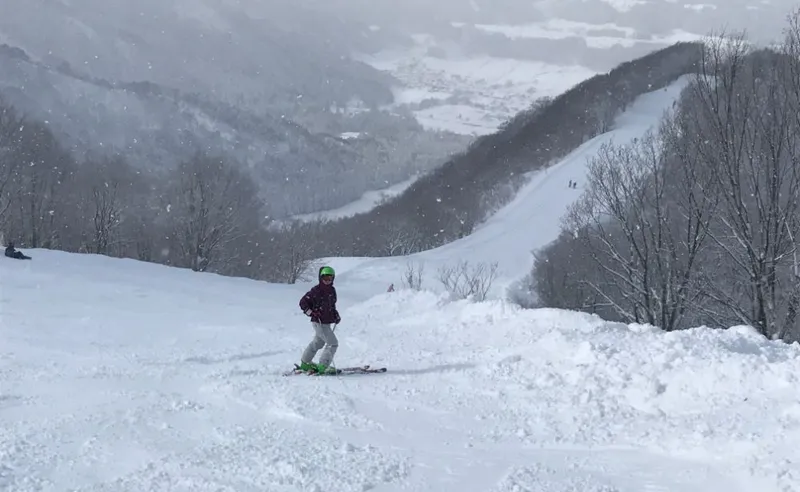 Zeljko Popovic - Nozawa Onsen