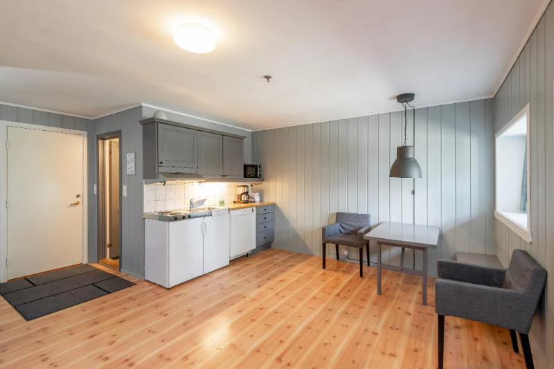 6001656b810a2 Nermo Hotel Studio Apartment Kitchenette