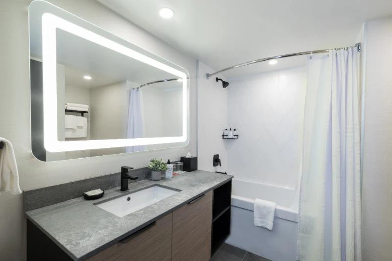 601a84914d9a2 Deluxe King Studio Bathroom