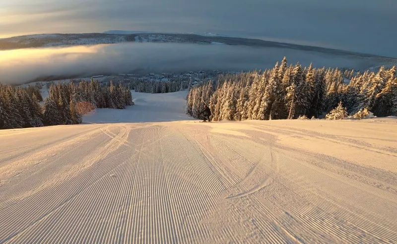 Caroline Saint - Kvitfjell