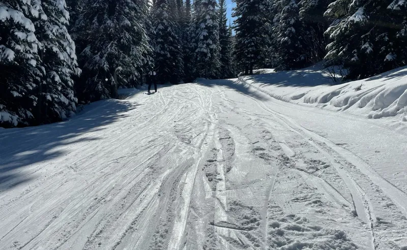 Steven Wainwright - Sun Peaks