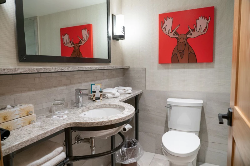 6284e0904a735 Moose Hotel and Suites Superior Hotel Room 2 Queens Bathroom