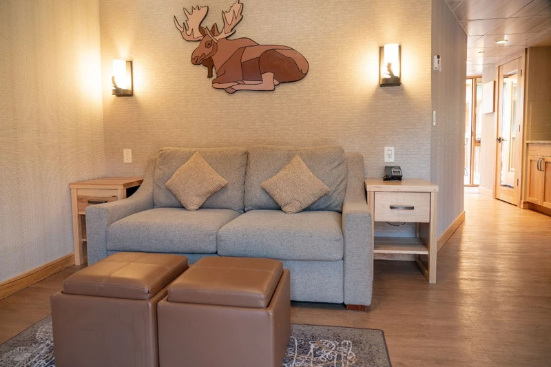 6284e20fdf5a3 Moose Hotel and Suites Superior One Bedroom Suite Lounge