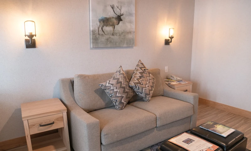 62860b1403214 Tunnel Mountain Resort Studio Condo Sofa