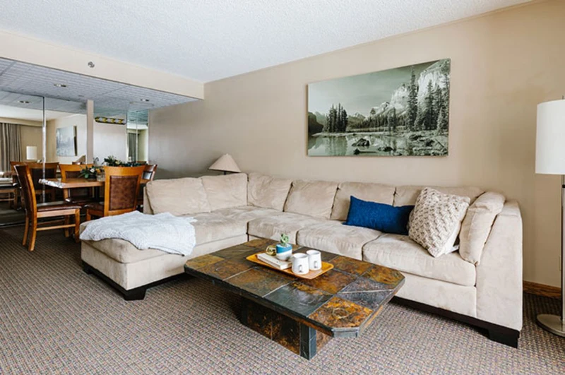 62b2f1615b257 Forest Park Hotel Jasper One bedroom Queen Living room