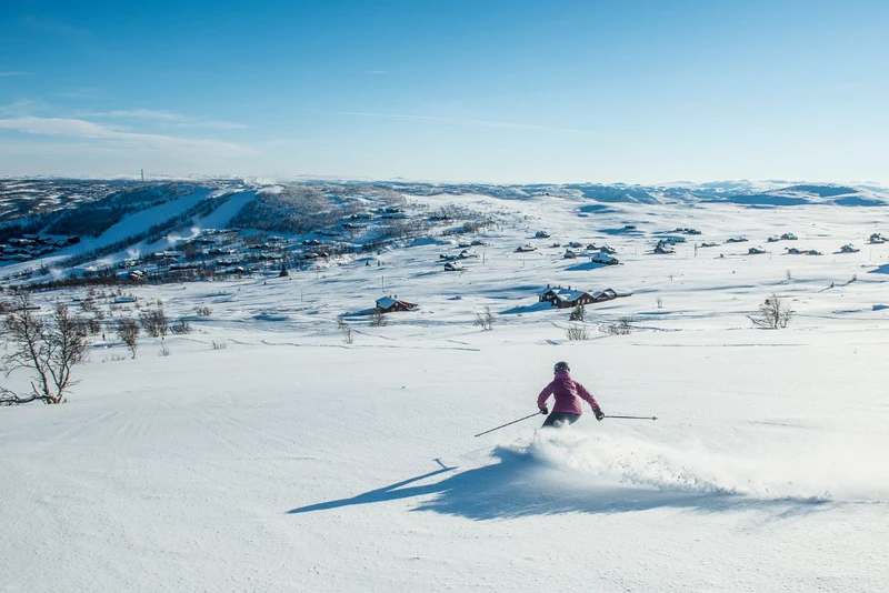 6350015028f62 Vegard Breie 24