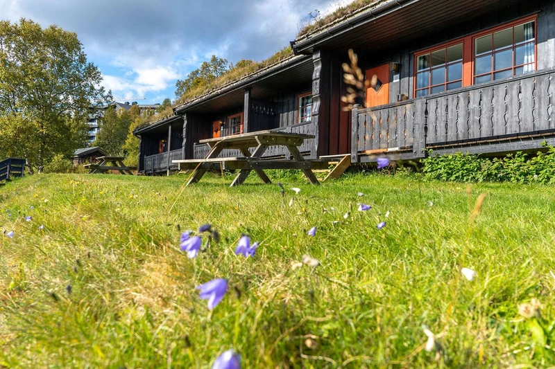 636a6b930add1 Hovi Cabins West facing terraces