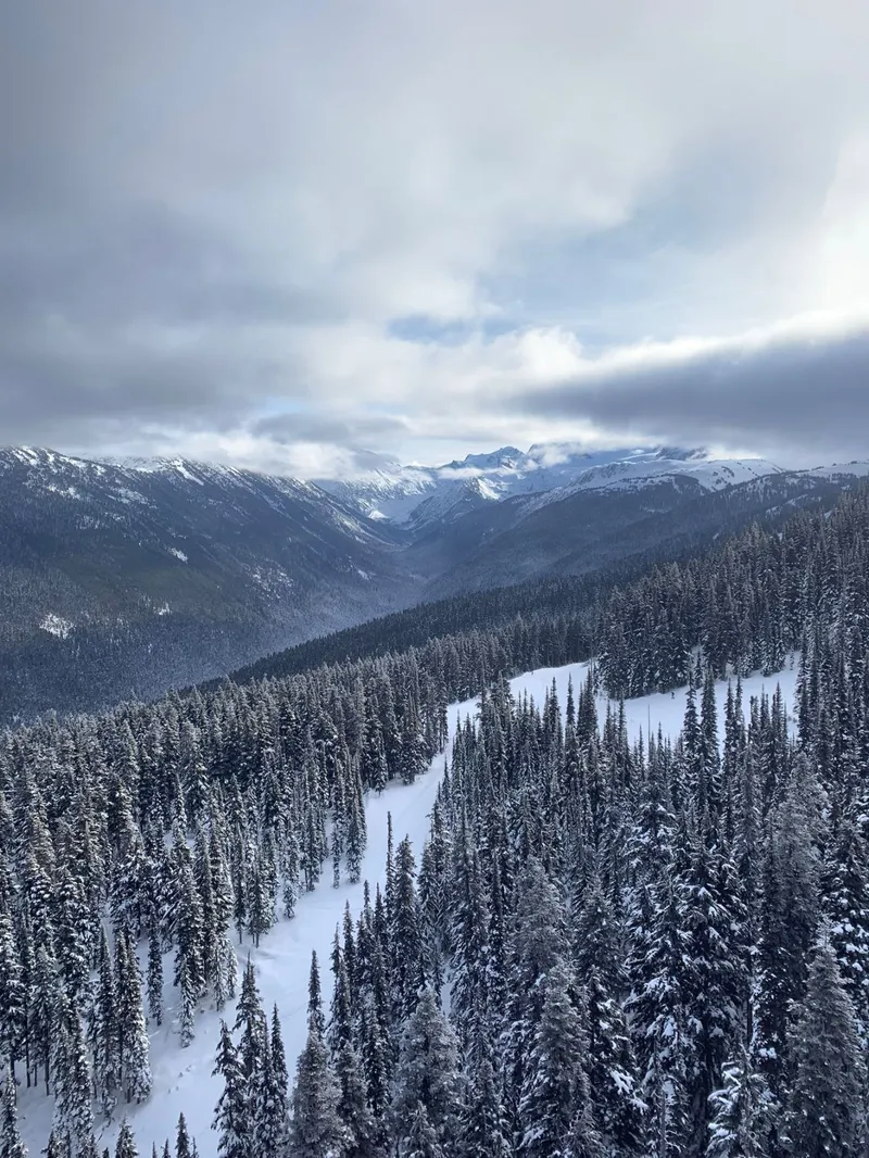 639b04d986b4dimage00018