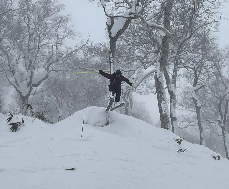 63bc24ac46252 Jack trying jumps in the tree line