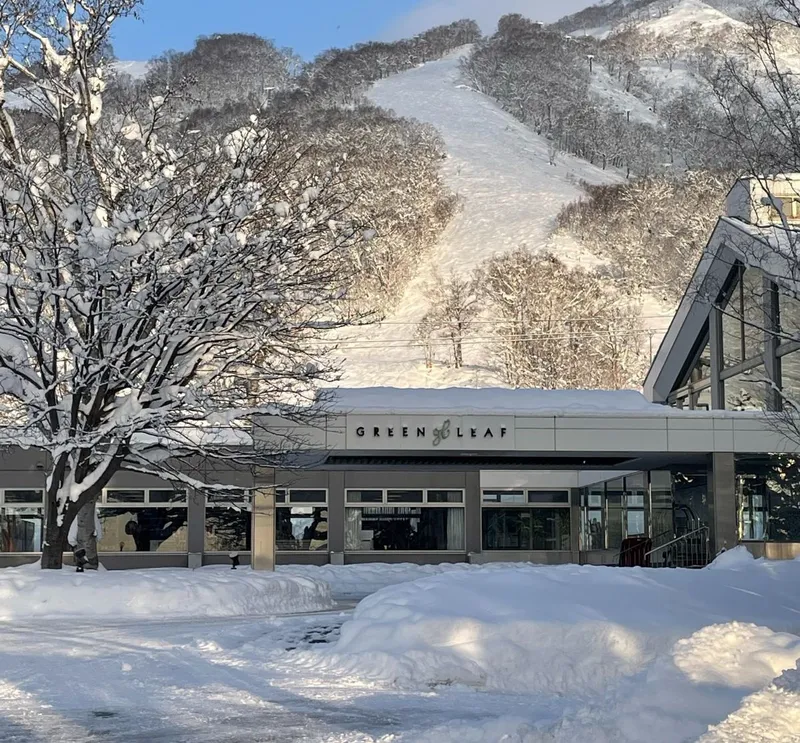 63bc2dd5b93f3 The Green Leaf Hotel