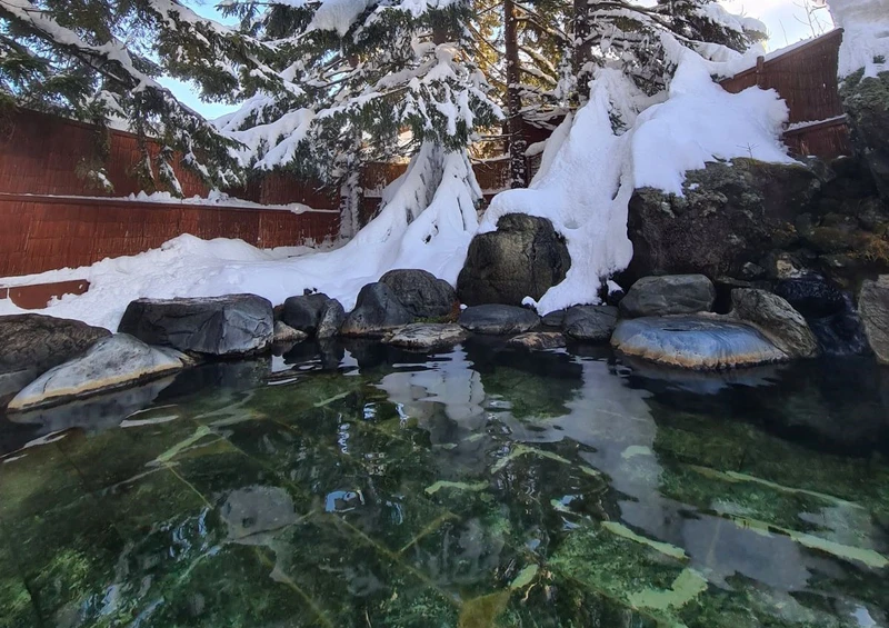 63bc2e45b6565 Green leaf onsen