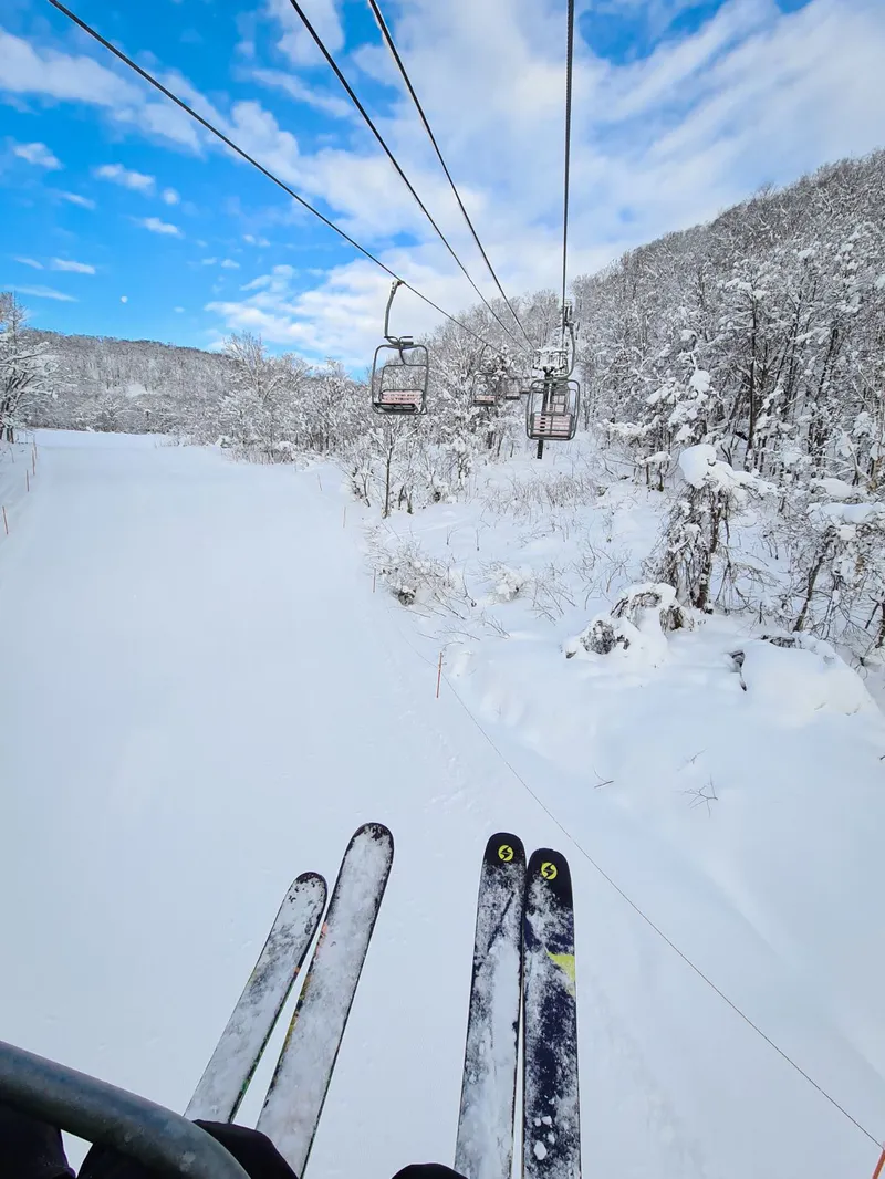 63dbe63d7fc3b Pristine Snow in Niseko on Day 1