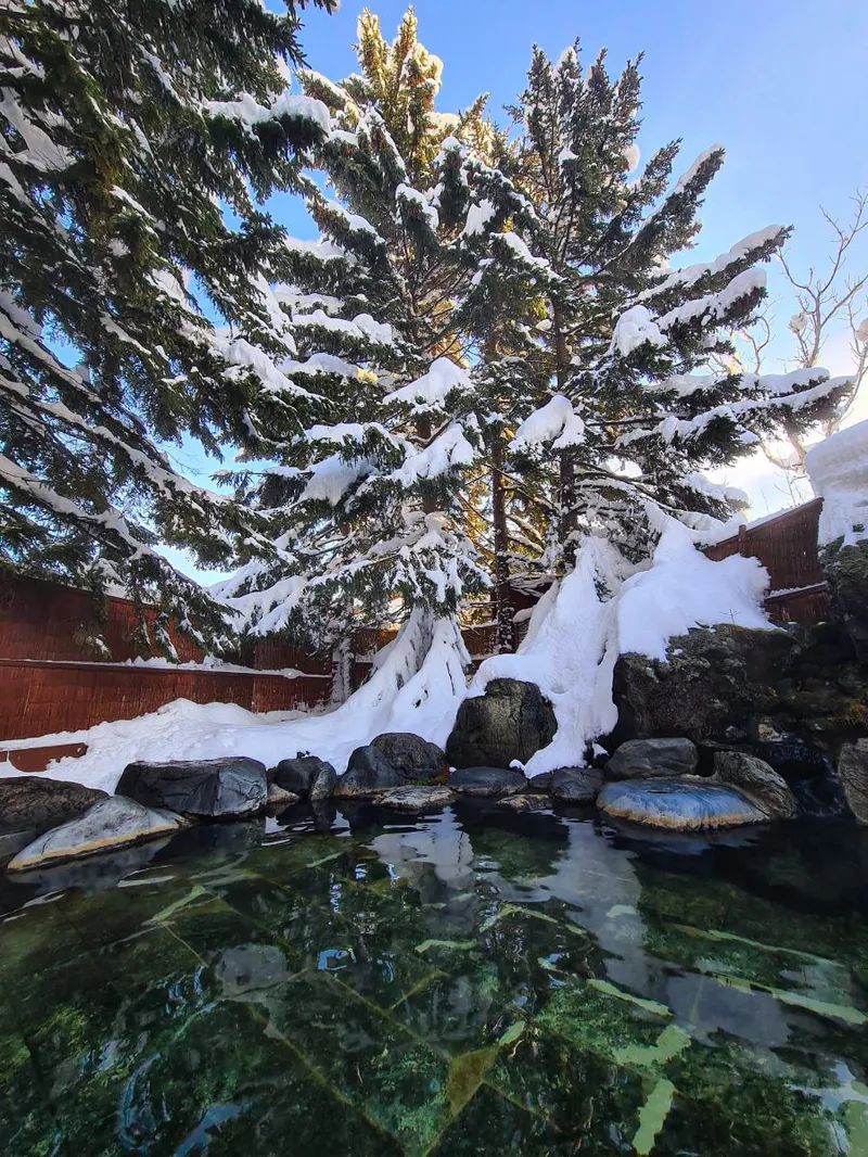 63e373f83d4cf The Green Leaf Niseko Outdoor Onsen