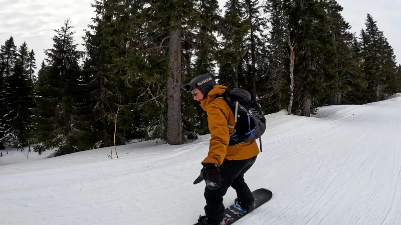 6435832468617 Still 8