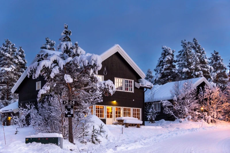 643d2226526e2 Geilolia Forest Cabins 12 bed 5 bedroom superior cabin Exterior