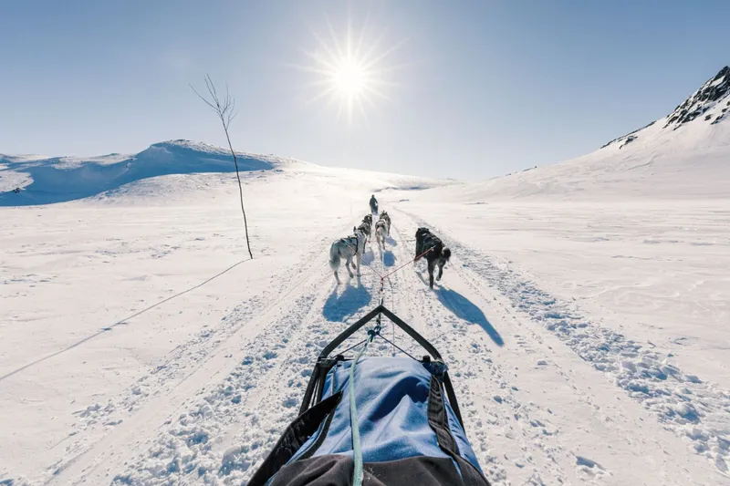 64468ae279a67 Husky sledding in Geilo Visit Geilo Paul Lockhart