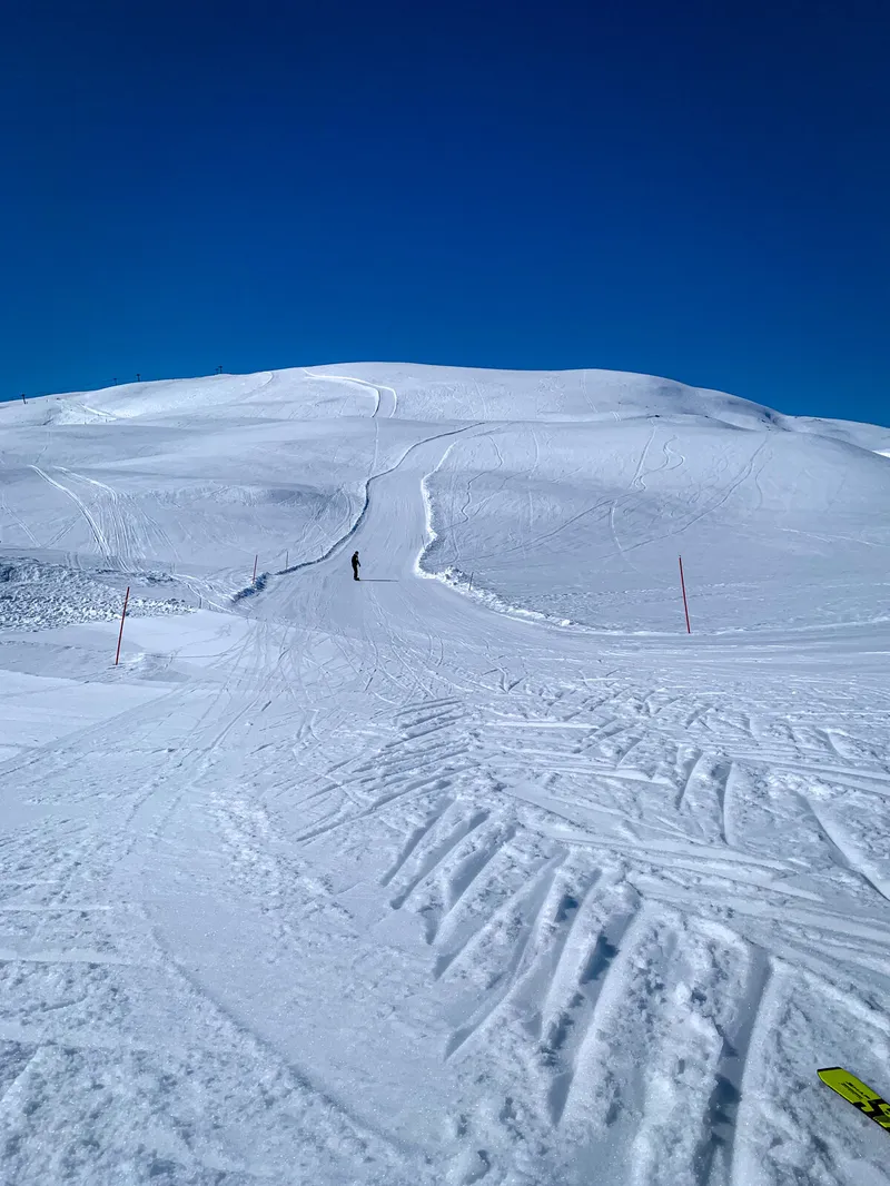 645cc9376121b IMG 7852