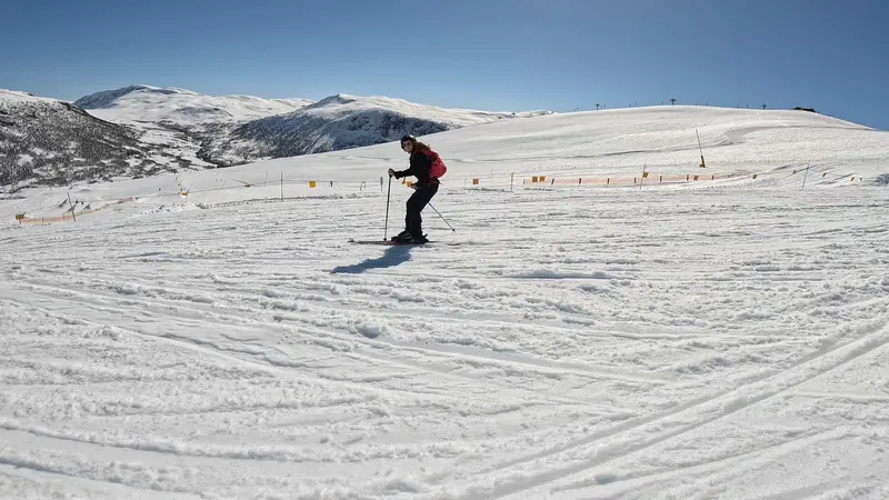 645cd5a13b848 GP Temp Download 3