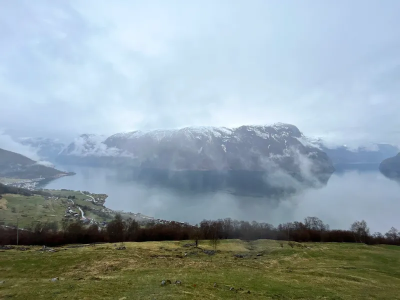 645cf2f7297ec IMG 0332 1 1