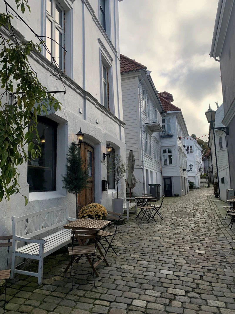 6463a2005ff1a Bergens crooked housdes and cobbled streets