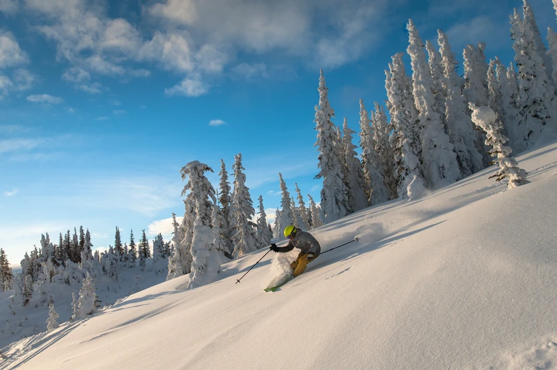 64708c85d3313 Skiing Perfect Powder Dave Heath