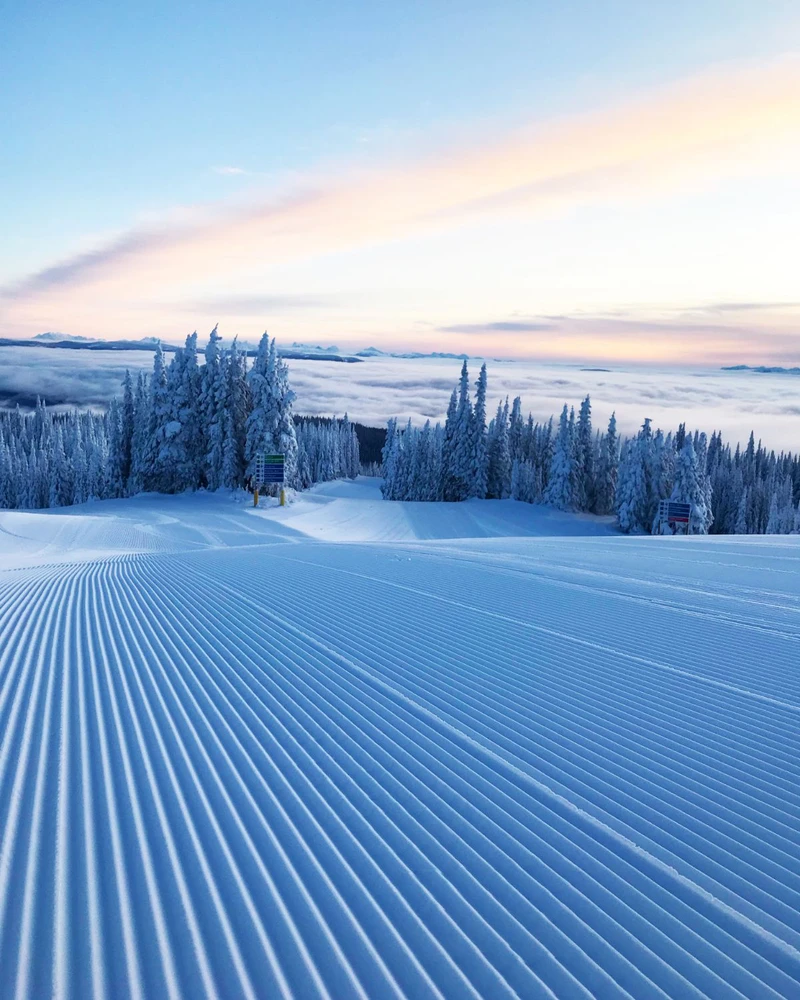 647090abd1156 A141 F314 67 CF 4 B1 D 92 E4 57 A1 CBE54838