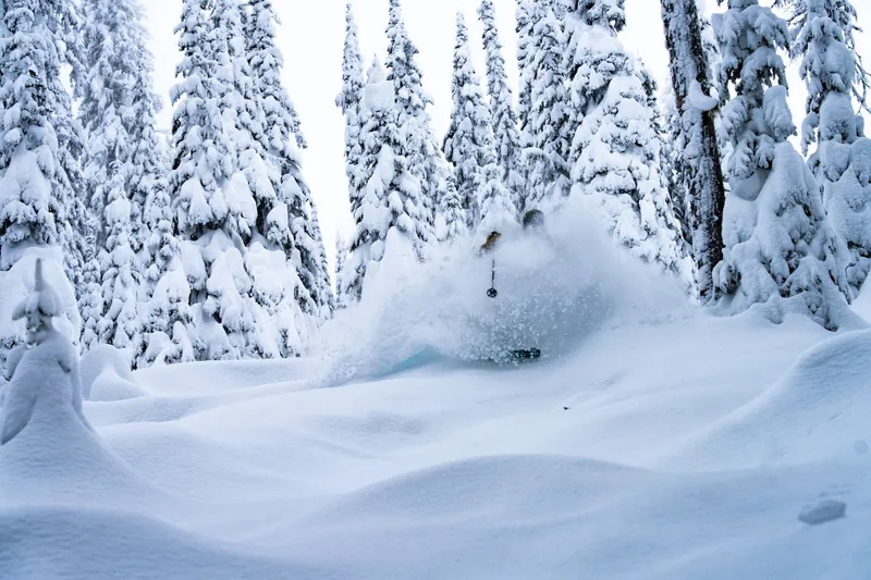 Deep Powder in RED Mountain Resort © Jake Sherman