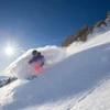 648724be2fe1csnowbird powder Snowbird