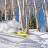 Glade Skiing © Jason Peter - Deer Valley