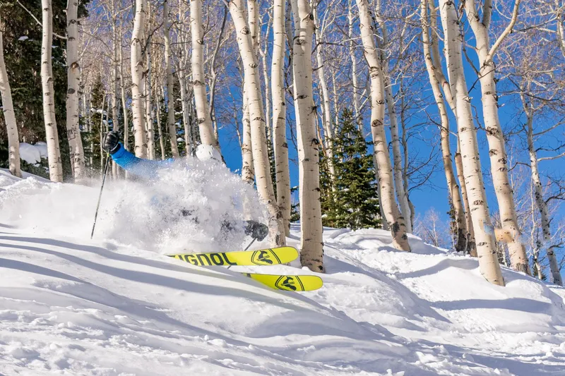Glade Skiing © Jason Peter - Deer Valley