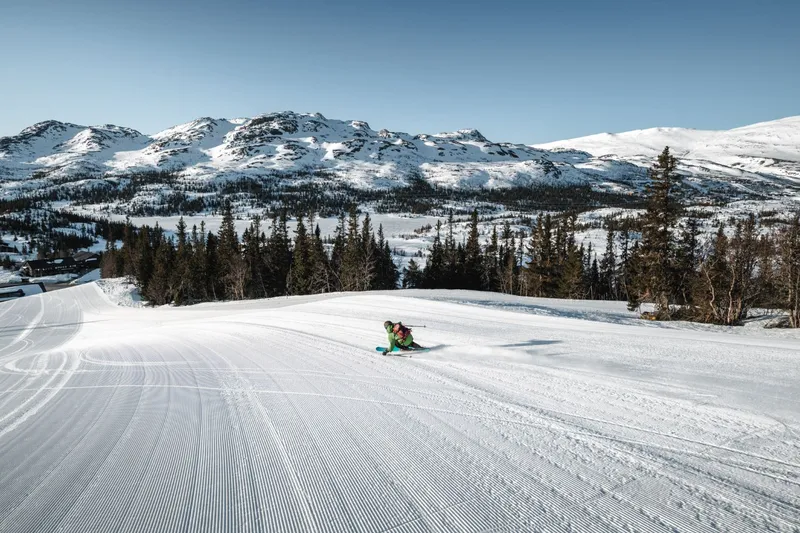 64ba7be2f025d Perfect Groomers in Gausta Gausta