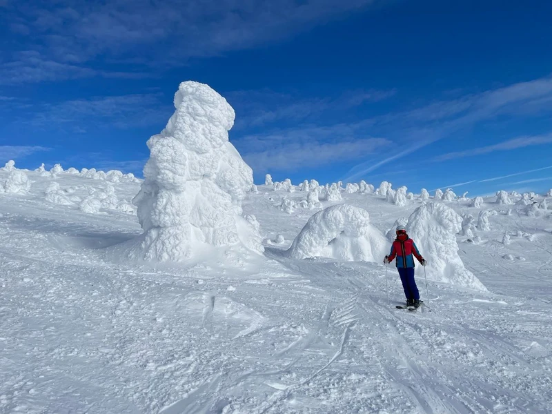 64d24962454408th James Hurford Big White Feb 23