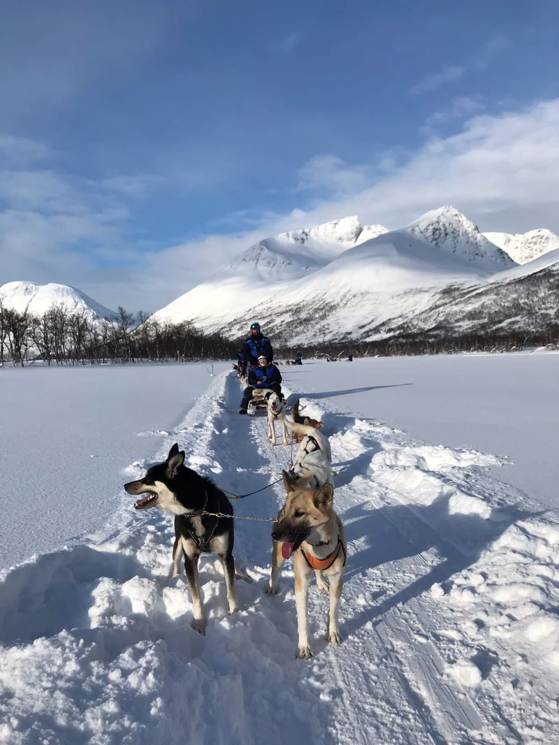 64d24962b51b59th Barbara Dale Norway Apr 23