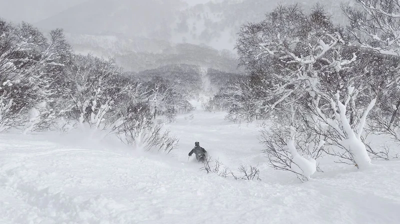 64d249643f6962nd Nicholas Steel Niseko Feb 23