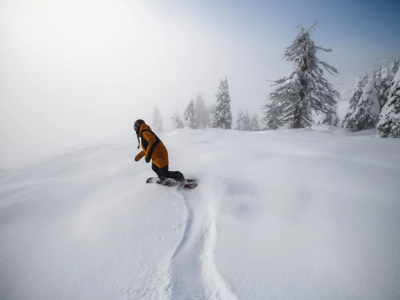 Perfect Powder in Big White © Destination BC / Andrew Strain