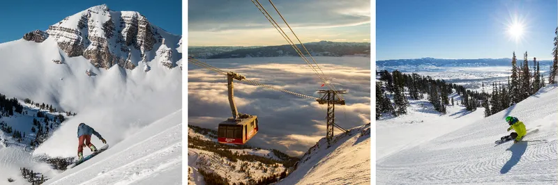 64ef3dcbe77e6 My project 3 1