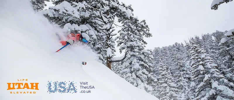 Skier is submerged in deep powder in Solitude Mountain Resort