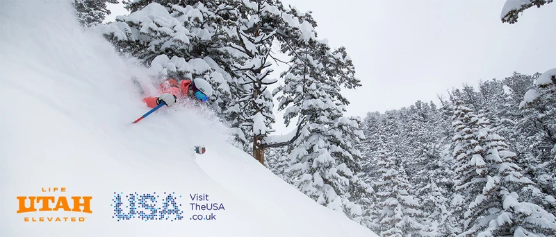 Skier is submerged in deep powder in Solitude Mountain Resort