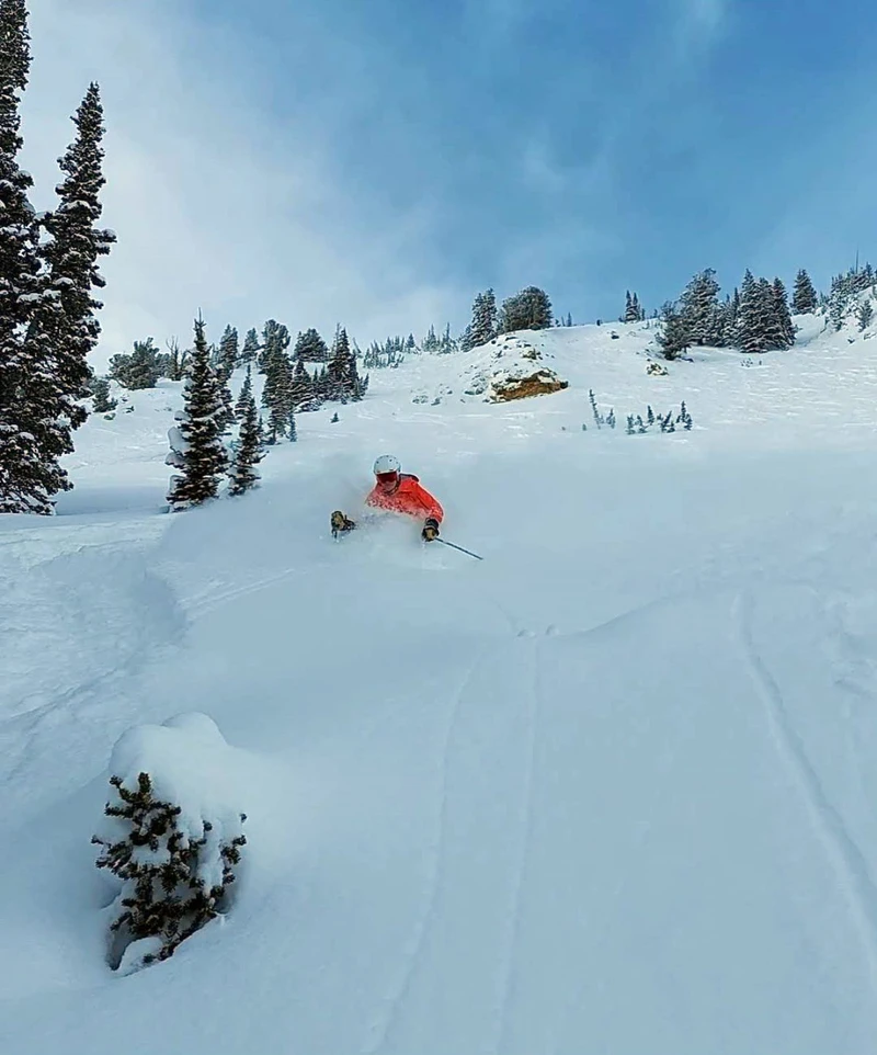 650300c435b32 Powder in Snowbird