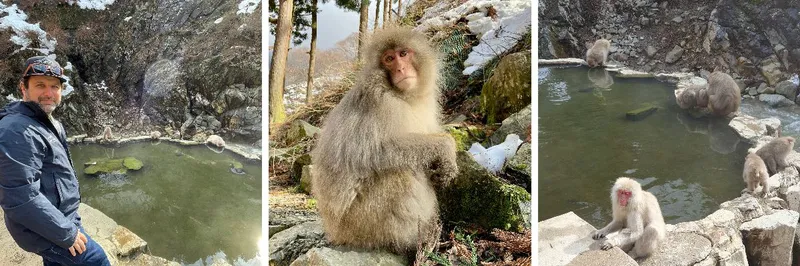 65367321f3f4c Jigokudani Snow Monkey Park