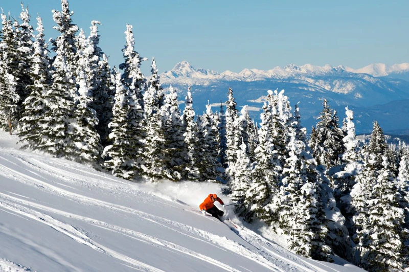 653a392be7dc4sun peaks tree line credit adam stein sun peaks resort